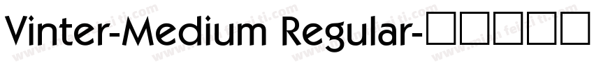 Vinter-Medium Regular字体转换